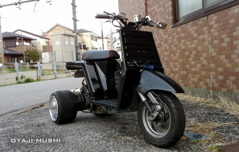 ジャイロXロンスイ