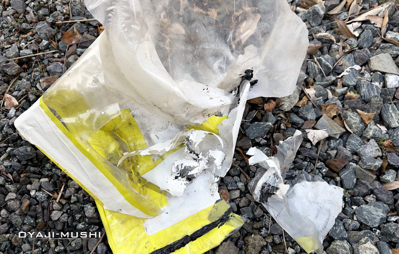 ブチルゴム