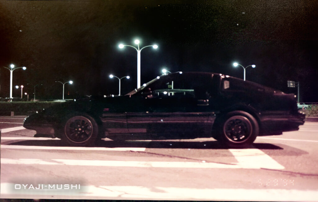 Z31前期
